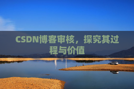 CSDN博客审核，探究其过程与价值