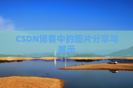 CSDN博客中的图片分享与展示